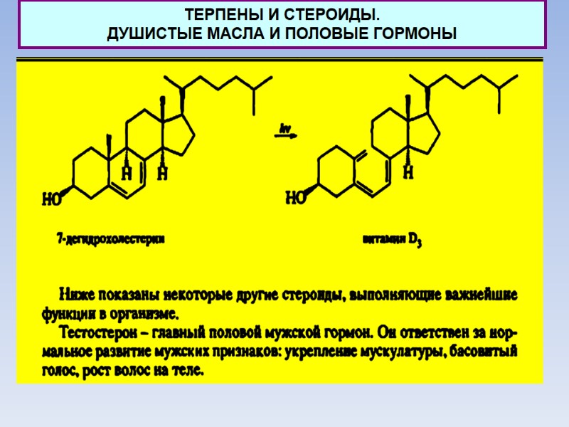 ТЕРПЕНЫ И СТЕРОИДЫ.  ДУШИСТЫЕ МАСЛА И ПОЛОВЫЕ ГОРМОНЫ